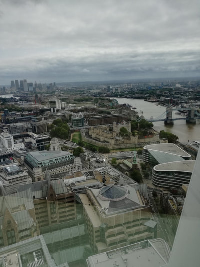 view over London from the Sky Garden The Thyroid Trust Summer Social 2018 

